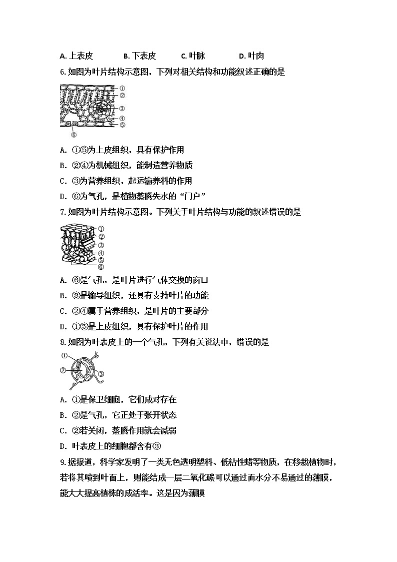 中考生物一轮复习跟踪检测：绿色植物的生活 (含答案)第2页