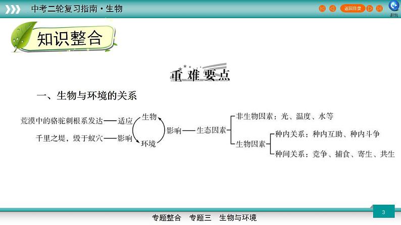 中考生物二轮精准高效复习课件专题02生物与环境 (含答案)第3页