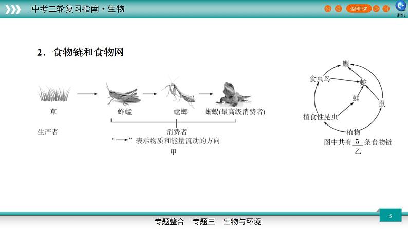 中考生物二轮精准高效复习课件专题02生物与环境 (含答案)第5页