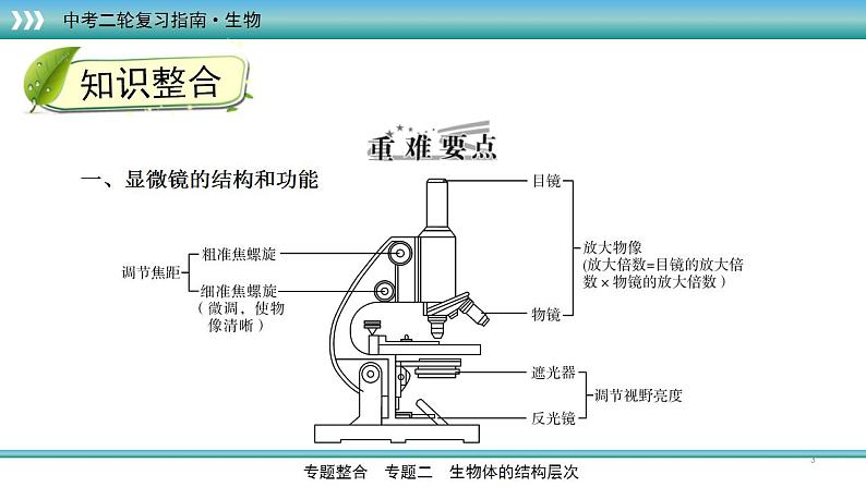 中考生物二轮精准高效复习课件专题03生物体的结构层次 (含答案)第3页