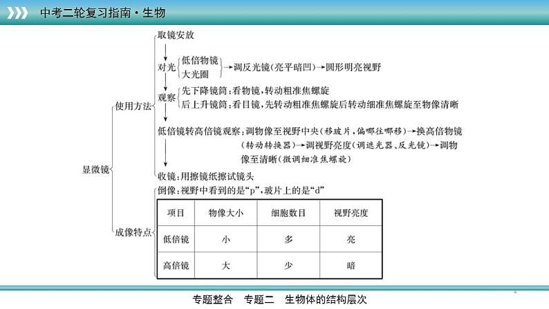 中考生物二轮精准高效复习课件专题03生物体的结构层次 (含答案)第4页