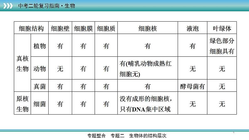 中考生物二轮精准高效复习课件专题03生物体的结构层次 (含答案)第6页