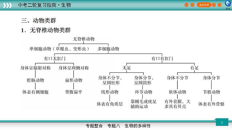 中考生物二轮精准高效复习课件专题08生物的多样性 (含答案)第5页