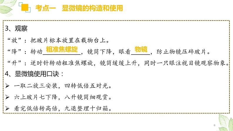 中考生物一轮复习精讲与习题精炼课件专题02 细胞是生命活动的基本单位(含答案)06