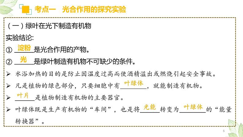 中考生物一轮复习精讲与习题精炼课件专题07 绿色植物的光合作用(含答案)05