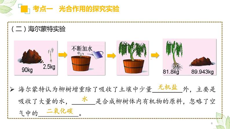 中考生物一轮复习精讲与习题精炼课件专题07 绿色植物的光合作用(含答案)06