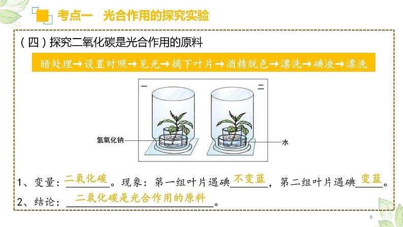 中考生物一轮复习精讲与习题精炼课件专题07 绿色植物的光合作用(含答案)08