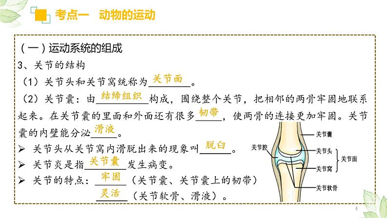 中考生物一轮复习精讲与习题精炼课件专题16 动物的运动和行为+动物在生物圈中的作用(含答案)04