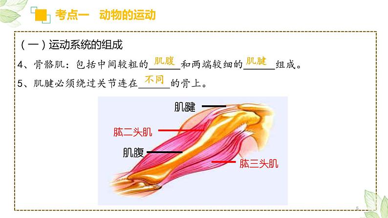 中考生物一轮复习精讲与习题精炼课件专题16 动物的运动和行为+动物在生物圈中的作用(含答案)05