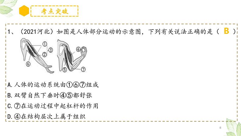 中考生物一轮复习精讲与习题精炼课件专题16 动物的运动和行为+动物在生物圈中的作用(含答案)08