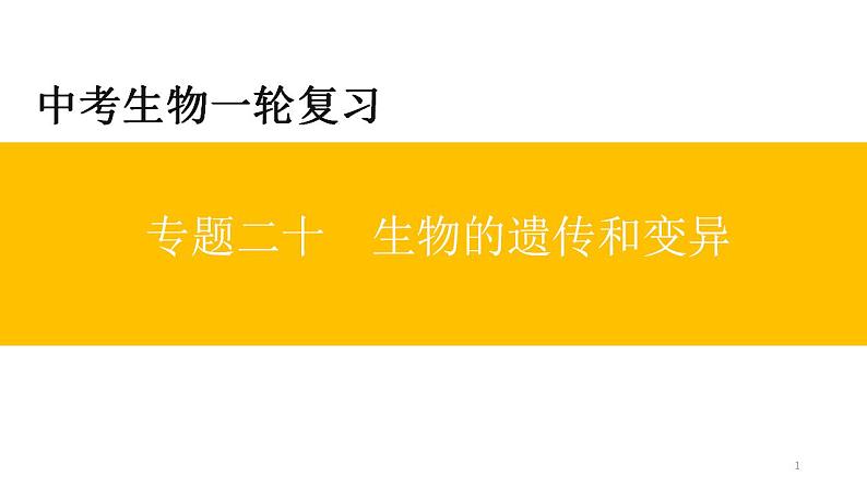 中考生物一轮复习精讲与习题精炼课件专题20 生物的遗传和变异(含答案)01