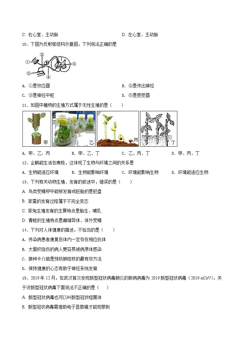 中考生物考前冲刺卷十九（原卷版+教师版）第3页
