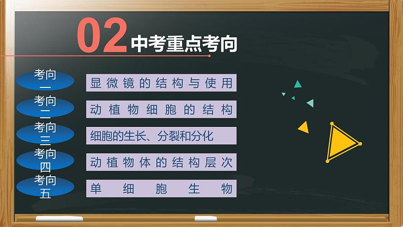 中考生物一轮复习核心考点复习精品课件专题02 生物体的结构层次 (含答案)04