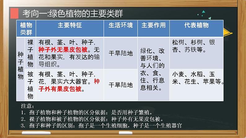 中考生物一轮复习核心考点复习精品课件专题03 绿色开花植物的一生 (含答案)06