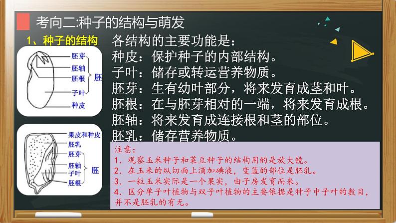 中考生物一轮复习核心考点复习精品课件专题03 绿色开花植物的一生 (含答案)08