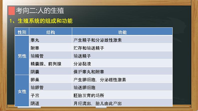 中考生物一轮复习核心考点复习精品课件专题05 人的由来 (含答案)第6页