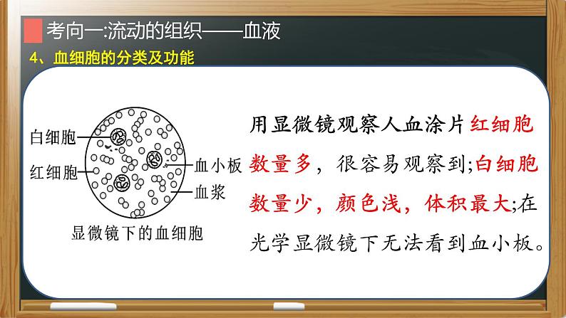 中考生物一轮复习核心考点复习精品课件专题08 人体内的物质运输 (含答案)第7页