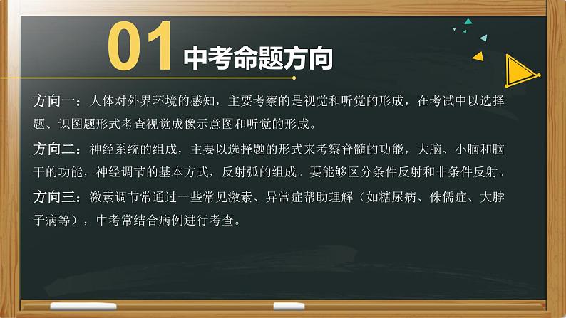 中考生物一轮复习核心考点复习精品课件专题09 人体生命活动的调节 (含答案)03