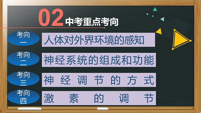 中考生物一轮复习核心考点复习精品课件专题09 人体生命活动的调节 (含答案)04