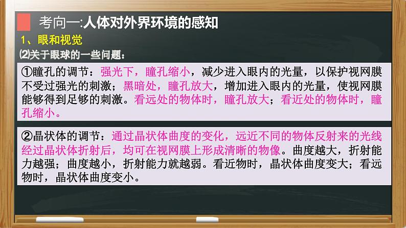 中考生物一轮复习核心考点复习精品课件专题09 人体生命活动的调节 (含答案)06