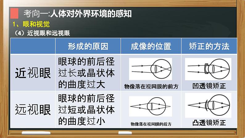 中考生物一轮复习核心考点复习精品课件专题09 人体生命活动的调节 (含答案)08