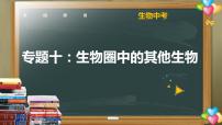 中考生物一轮复习核心考点复习精品课件专题10 生物圈中的其他生物 (含答案)