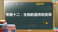 中考生物一轮复习核心考点复习精品课件专题12 生物的遗传和变异 (含答案)