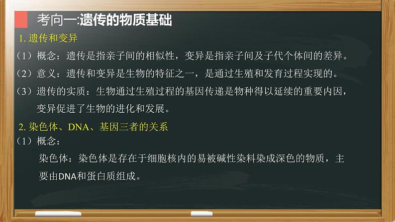 中考生物一轮复习核心考点复习精品课件专题12 生物的遗传和变异 (含答案)05