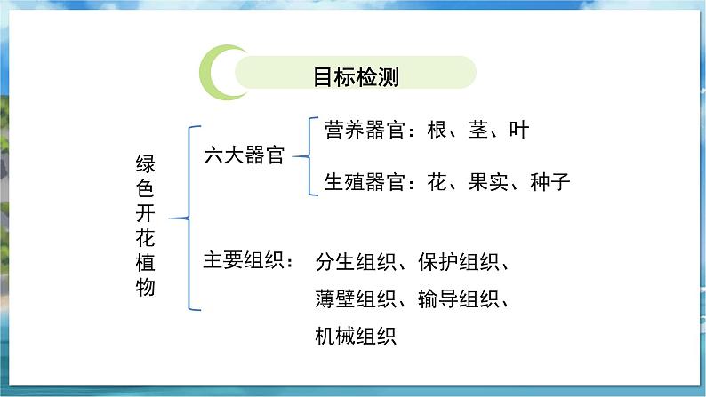 教学同步课件七下生物（苏科版）9.1 植物体的组成 第2课时第2页