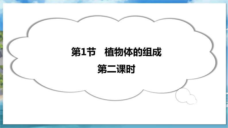 教学同步课件七下生物（苏科版）9.1 植物体的组成 第2课时第4页