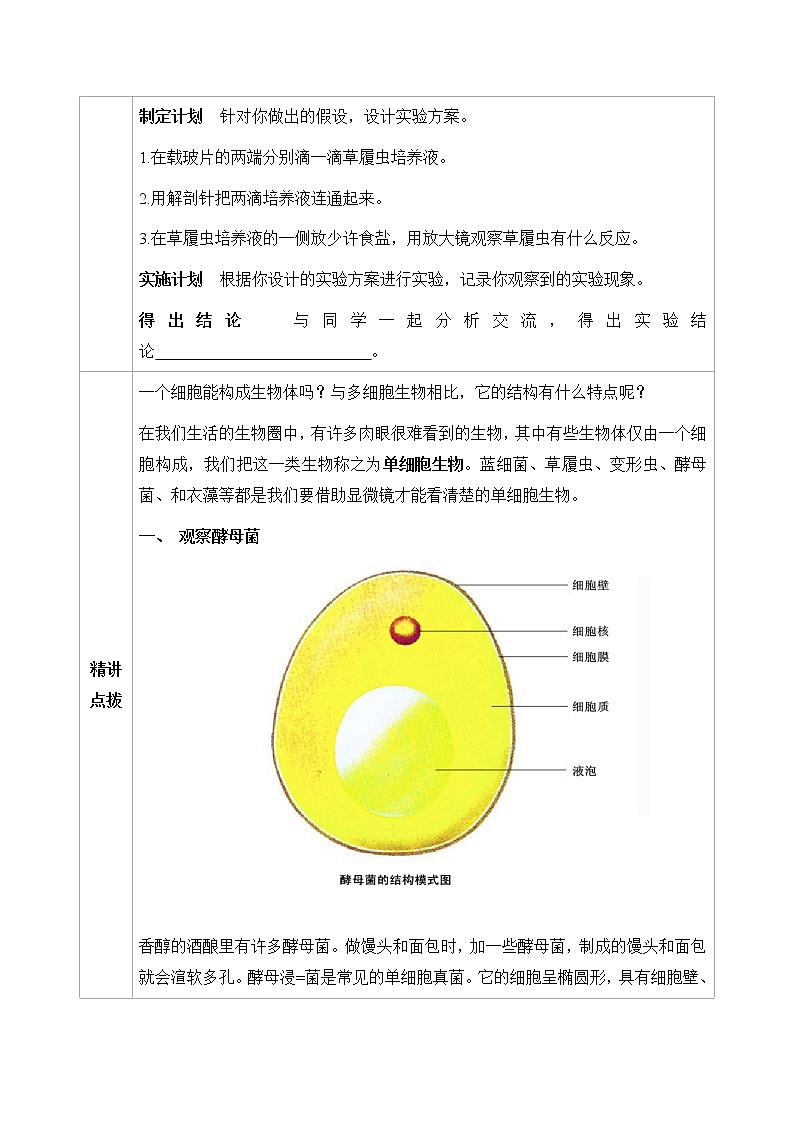 七下生物（苏科版）9.3 单细胞的生物体 PPT课件+教案03