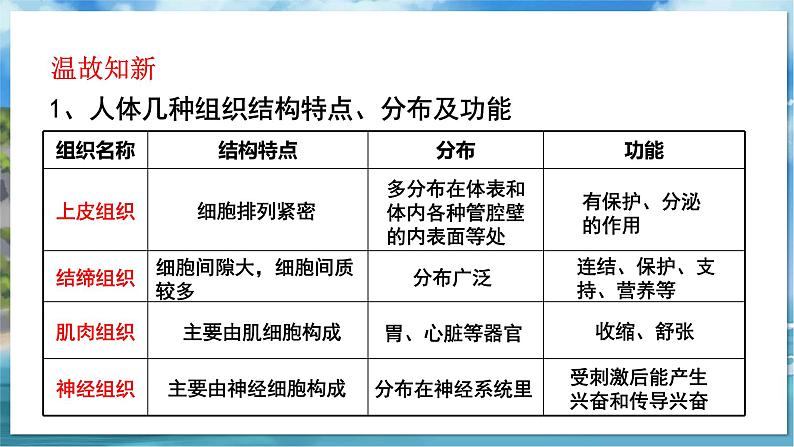 七下生物（苏科版）9.3 单细胞的生物体 PPT课件+教案02