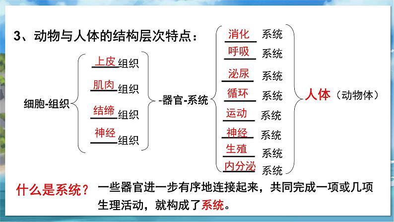 七下生物（苏科版）9.3 单细胞的生物体 PPT课件+教案04