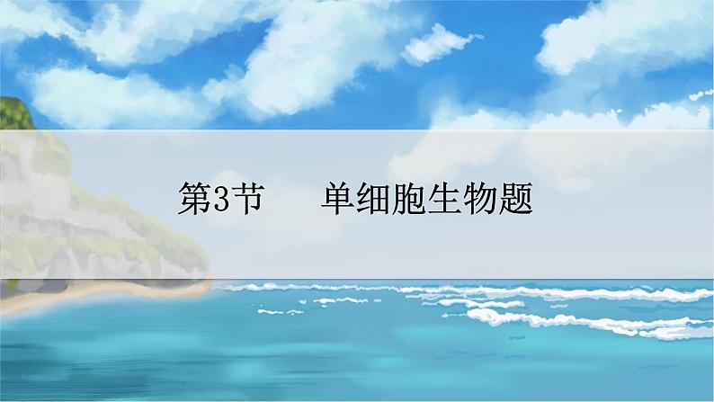 七下生物（苏科版）9.3 单细胞的生物体 PPT课件+教案06