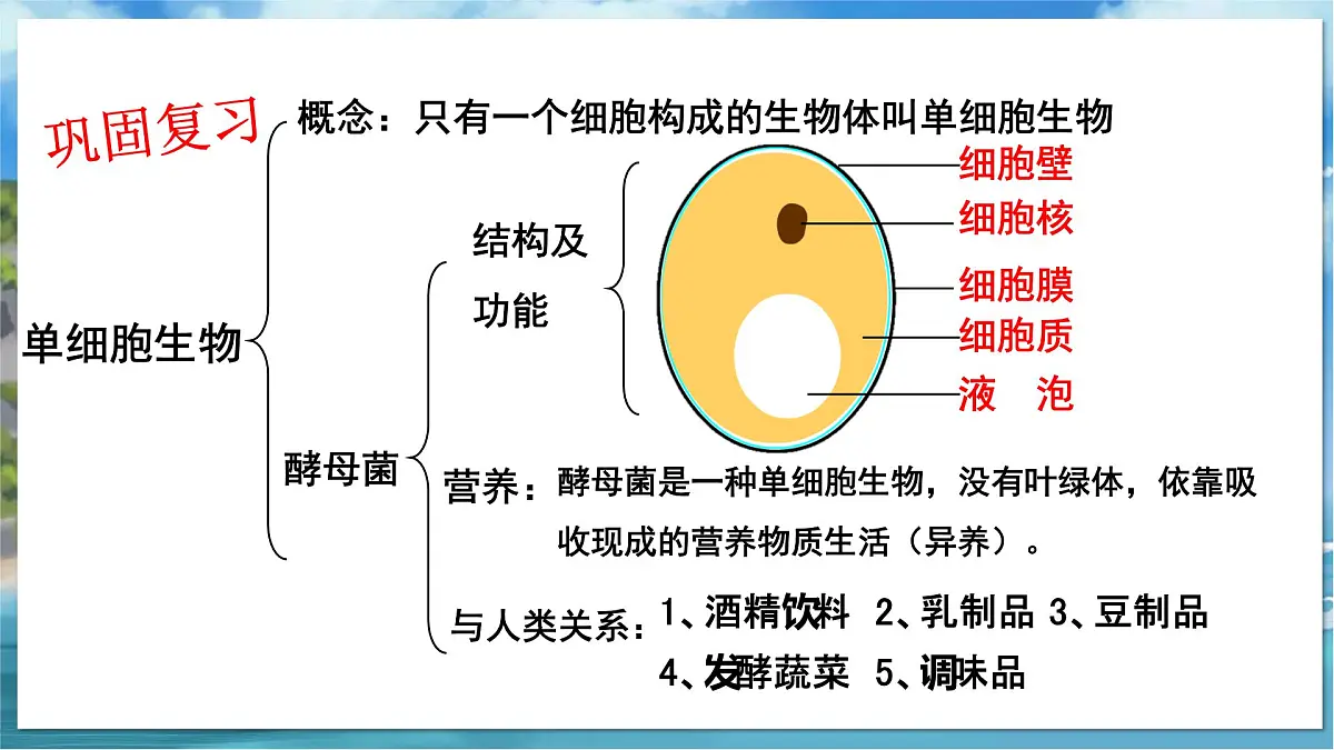 教学同步课件七下生物（苏科版）10.1 水中的动物 第1课时第2页