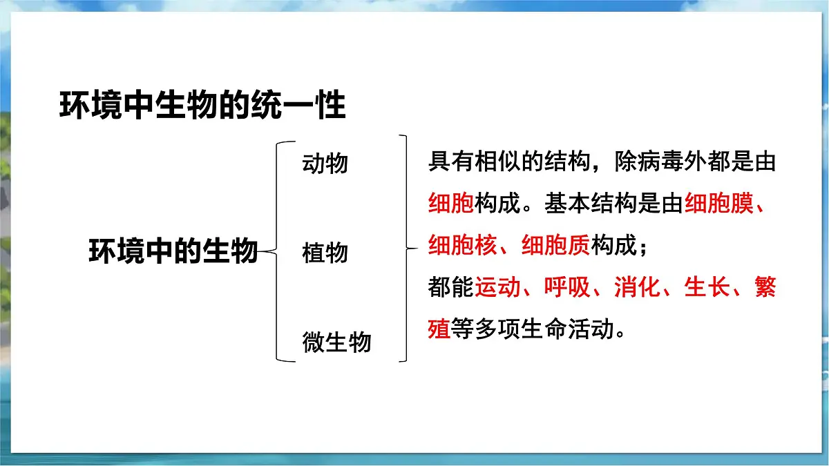 教学同步课件七下生物（苏科版）10.1 水中的动物 第1课时第3页