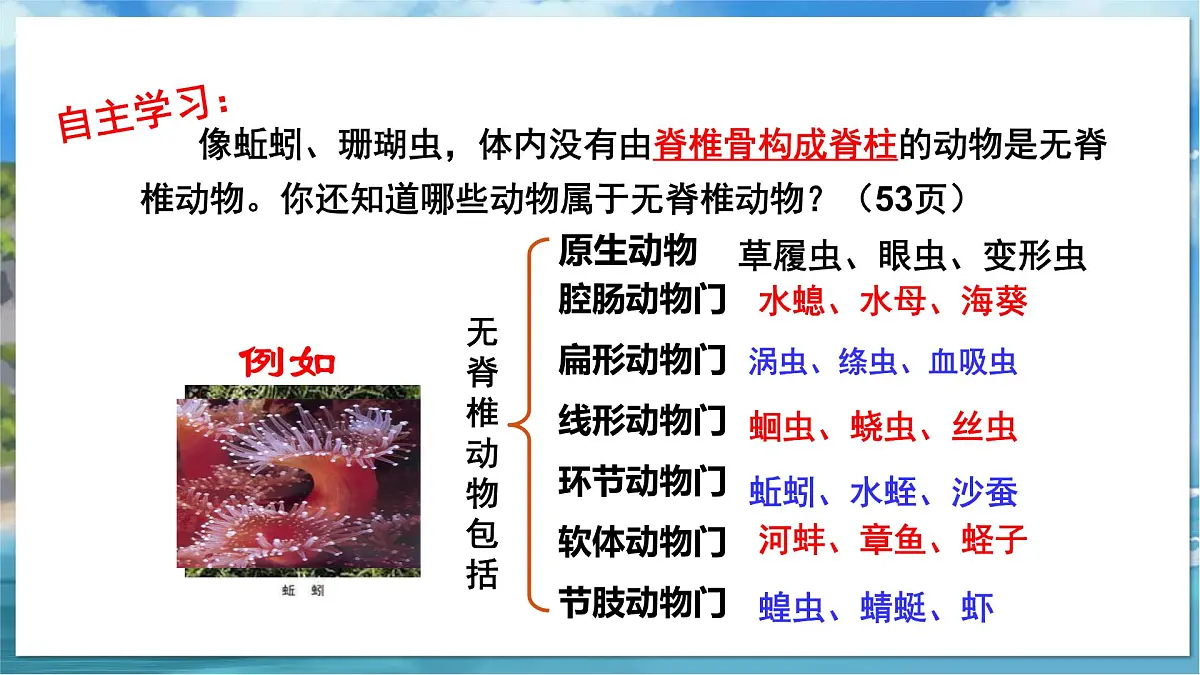 教学同步课件七下生物（苏科版）10.1 水中的动物 第1课时第6页