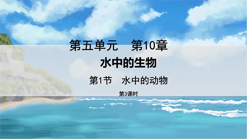 七下生物（苏科版）10.1 水中的动物 第3课时 PPT课件+教案01