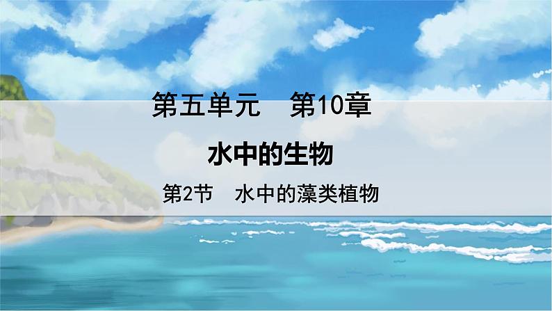 教学同步课件七下生物（苏科版）10.2 水中的藻类植物第1页