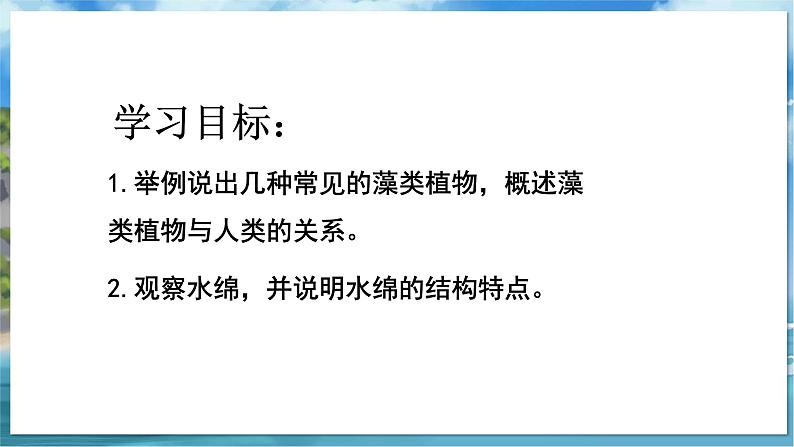 教学同步课件七下生物（苏科版）10.2 水中的藻类植物第4页