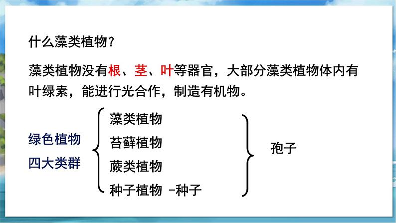 教学同步课件七下生物（苏科版）10.2 水中的藻类植物第6页