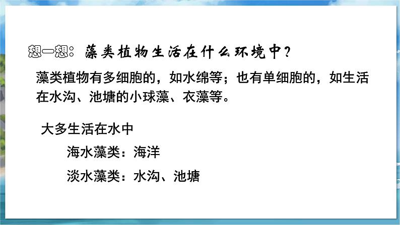 教学同步课件七下生物（苏科版）10.2 水中的藻类植物第7页