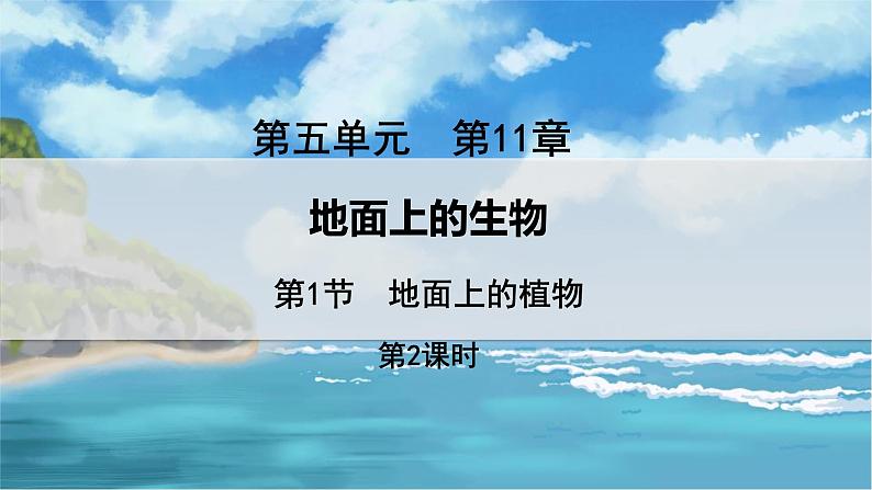 教学同步课件七下生物（苏科版）11.1 地面上的植物 第2课时第1页