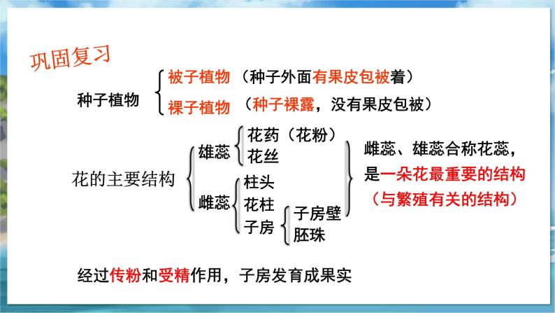 七下生物（苏科版）11.1 地面上的植物 第2课时 PPT课件+教案02