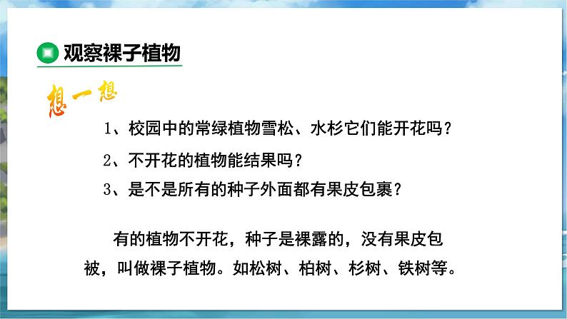 教学同步课件七下生物（苏科版）11.1 地面上的植物 第2课时第8页