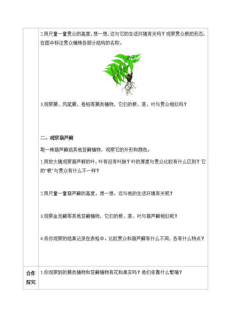5.11.1 地面上的植物（第3课时）（七下生物苏科版）第2页