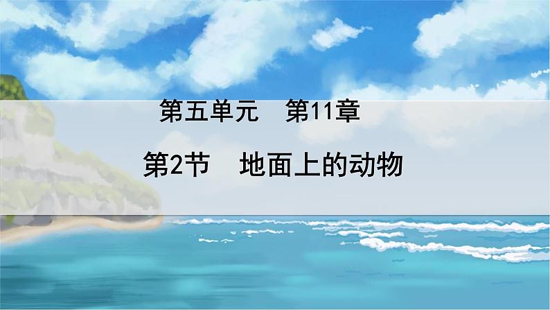 七下生物（苏科版）11.2 地面上的动物 PPT课件+教案01