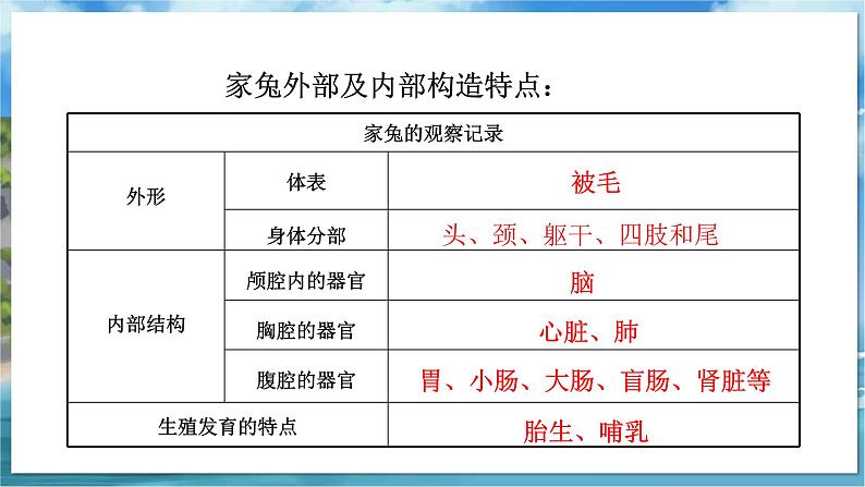 七下生物（苏科版）12.1 鸟类 PPT课件+教案03