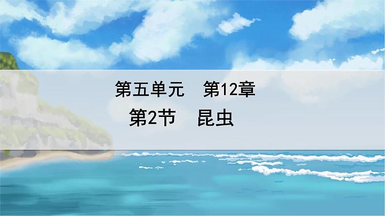 七下生物（苏科版）12.2 昆虫 PPT课件+教案01