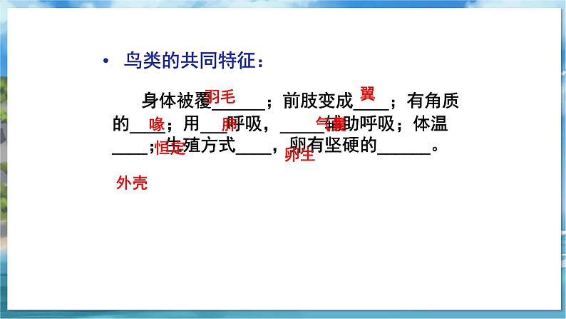 七下生物（苏科版）12.2 昆虫 PPT课件+教案04